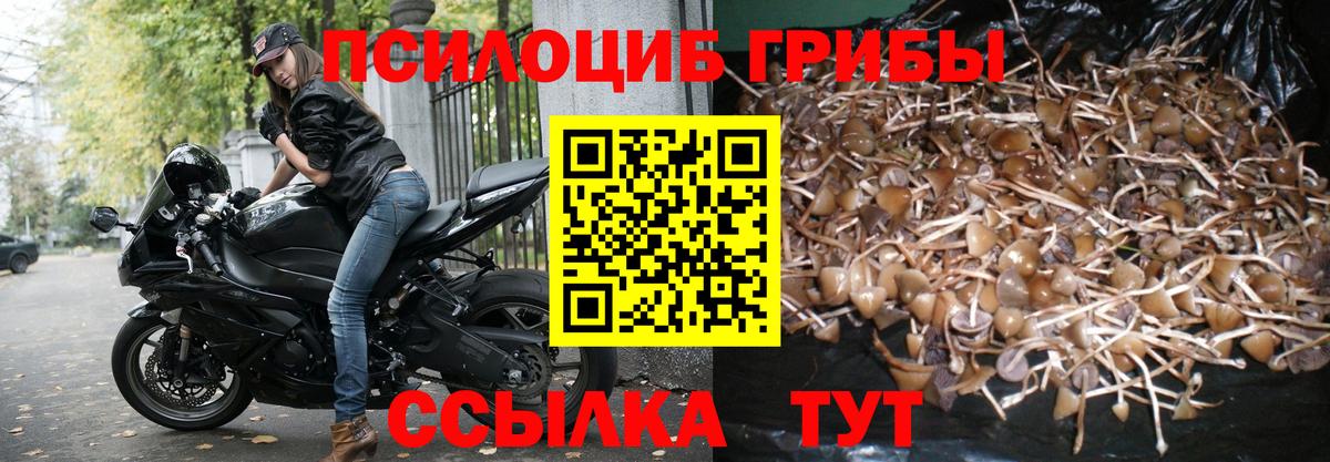 Меф МЯУ МЯУ  МЕТ  Где найти наркотики?  Всеволожск  Вход с VPN  Кокаин  ГАШИШ  Кокаин  Мефедрон кристаллы 