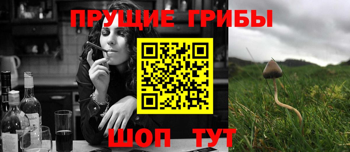 Галлюциногенные грибы MAGIC MUSHROOMS  Вход с VPN  Всеволожск  Галлюциногенные грибы мухоморы 